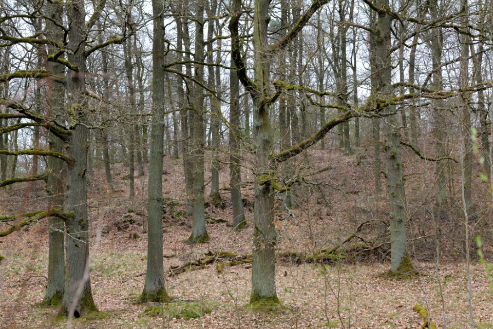 Übungsplatz_bei_Ockstadt_2021-04-02_16