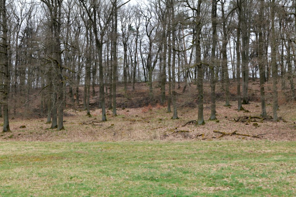 Übungsplatz_bei_Ockstadt_2021-04-02_29