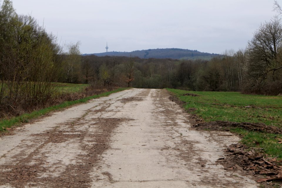 Übungsplatz_bei_Ockstadt_2021-04-02_25