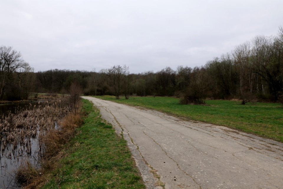 Übungsplatz_bei_Ockstadt_2021-04-02_48