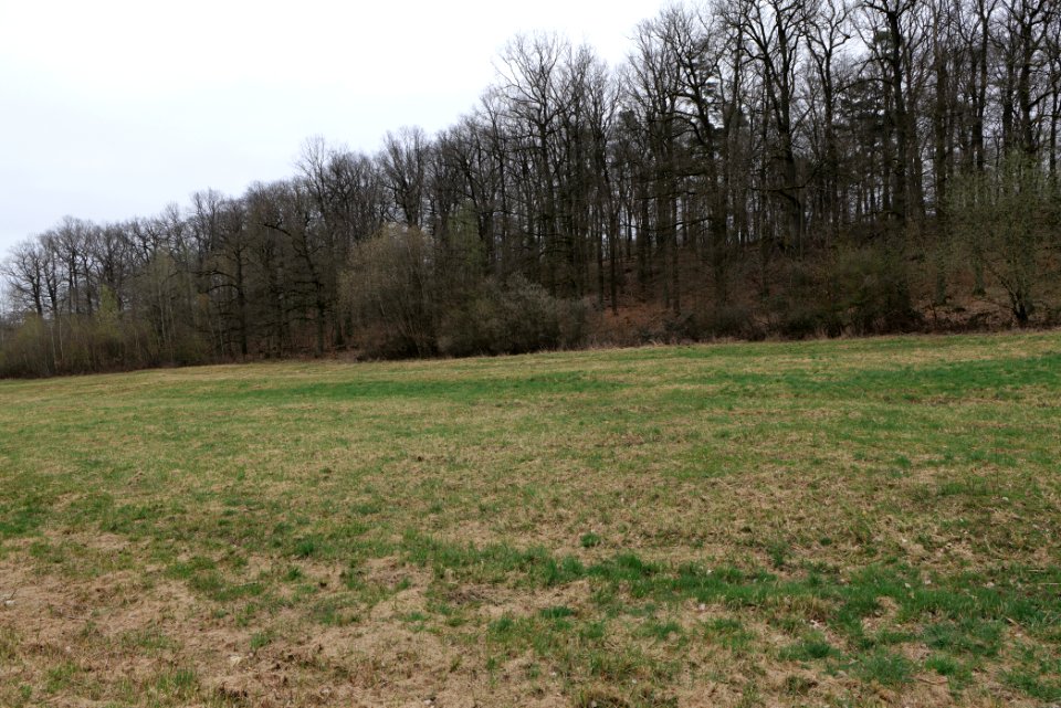 Übungsplatz_bei_Ockstadt_2021-04-02_21