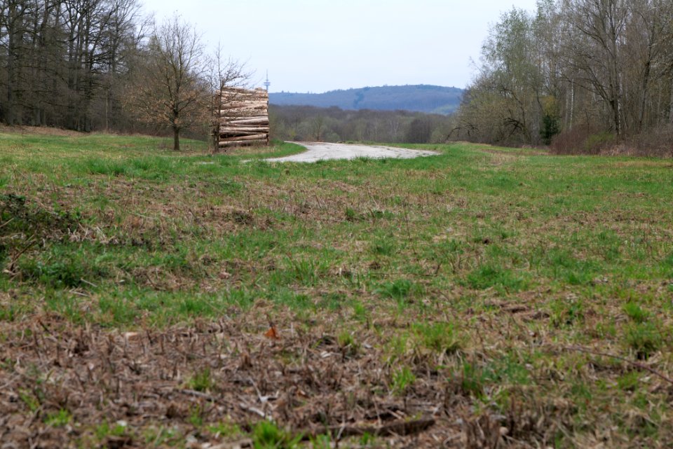 Übungsplatz_bei_Ockstadt_2021-04-02_18
