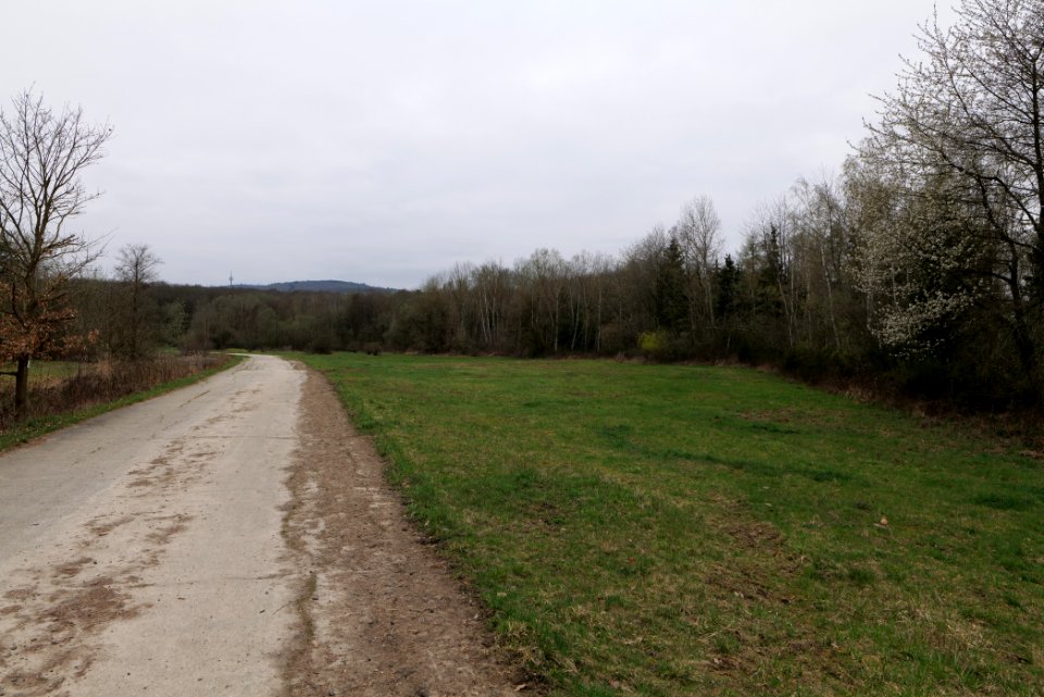 Übungsplatz_bei_Ockstadt_2021-04-02_31
