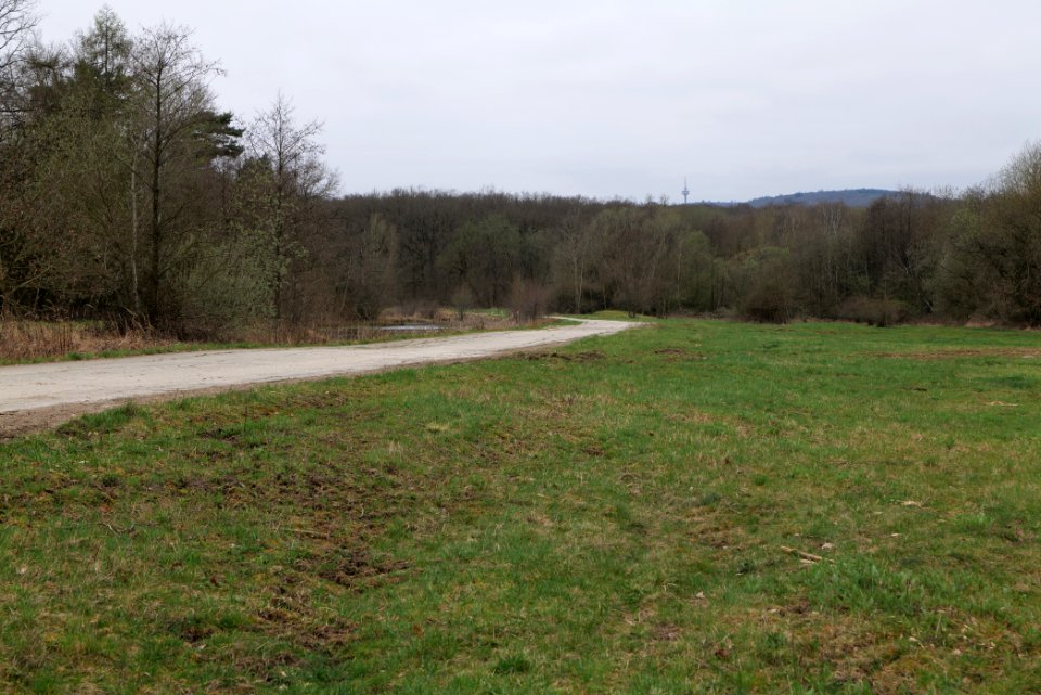 Übungsplatz_bei_Ockstadt_2021-04-02_41