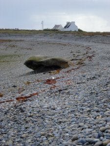 Île_de_Sein,_la_côte_à_cailloux_(2)