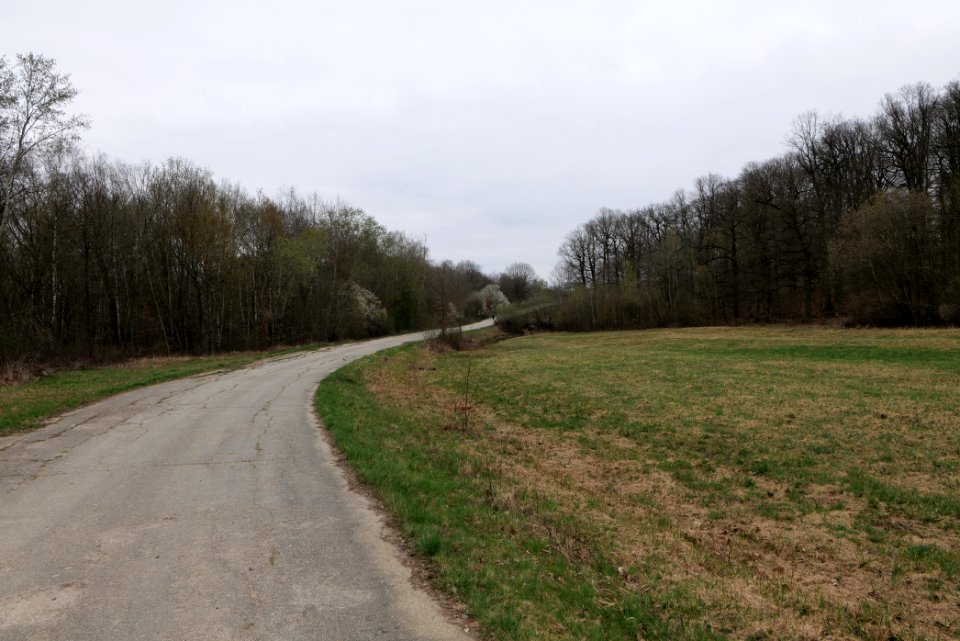 Übungsplatz_bei_Ockstadt_2021-04-02_24