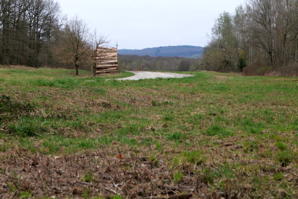 Übungsplatz_bei_Ockstadt_2021-04-02_19