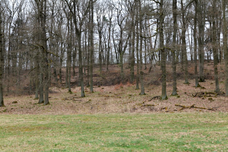 Übungsplatz_bei_Ockstadt_2021-04-02_30