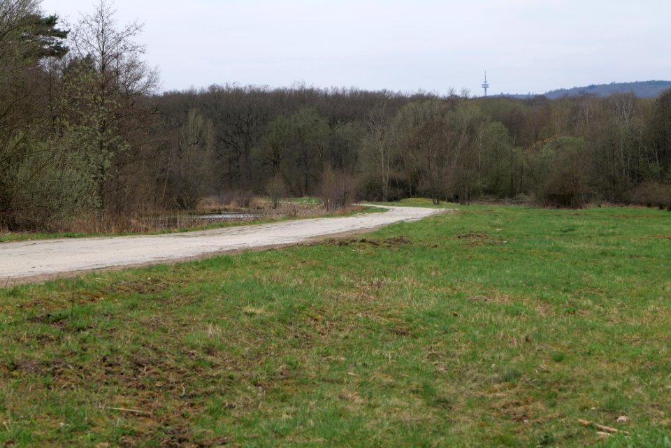 Übungsplatz_bei_Ockstadt_2021-04-02_40