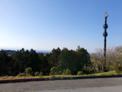 マザー牧場_17