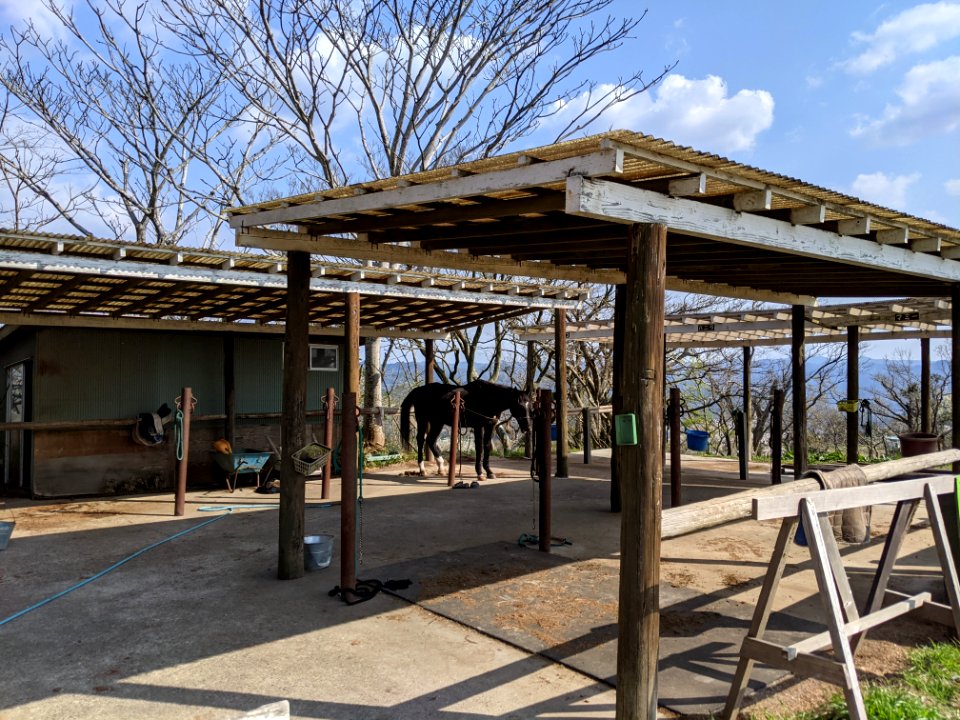 マザー牧場_25