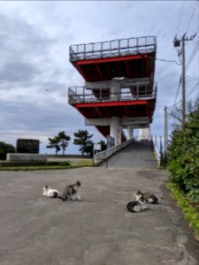 中の島_入口_2