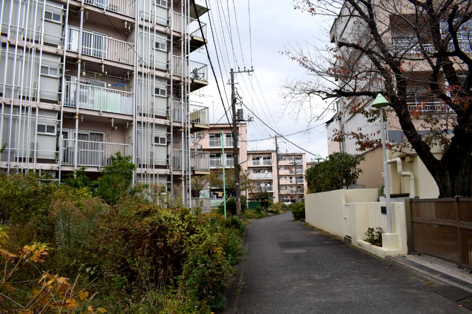 団地_area_in_Omotesando_-_b_5