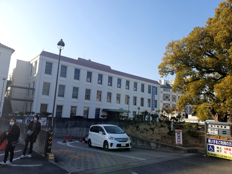 倉敷市立自然史博物館