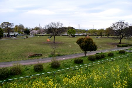 道滿Green_Park