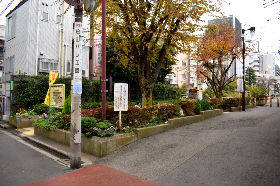 団地_area_in_Omotesando
