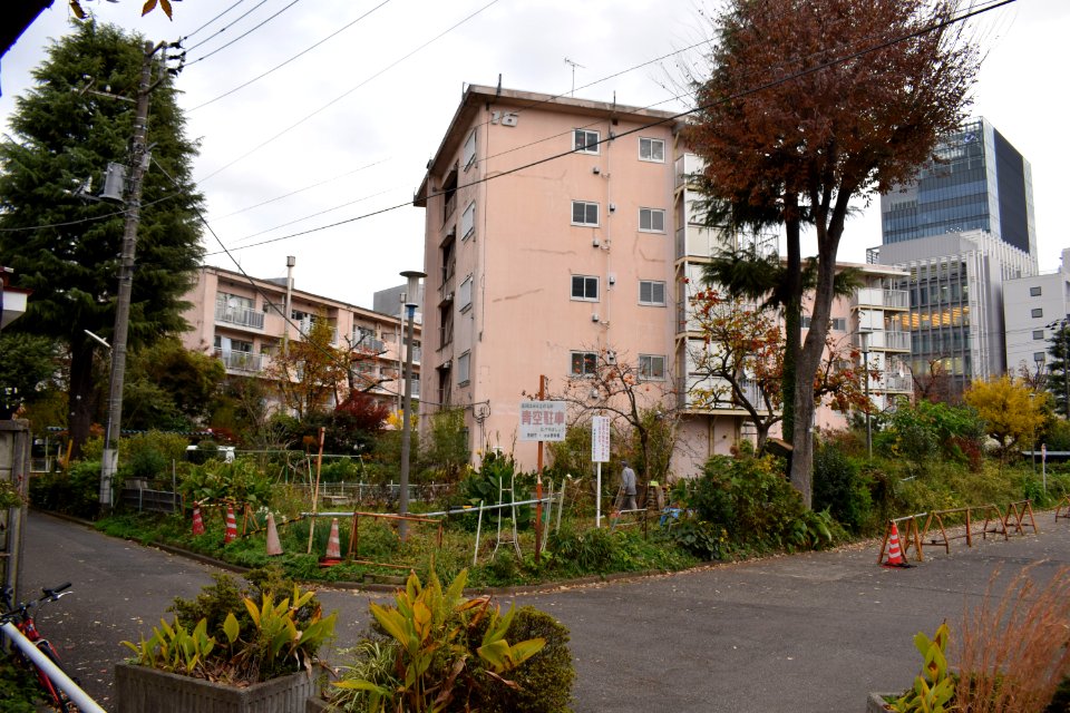 団地_area_in_Omotesando_4