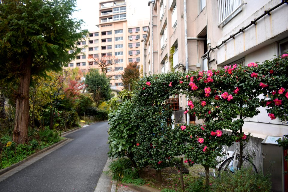 団地_area_in_Omotesando_-_b_4