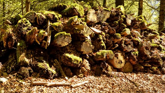 Reverse gear wood firewood