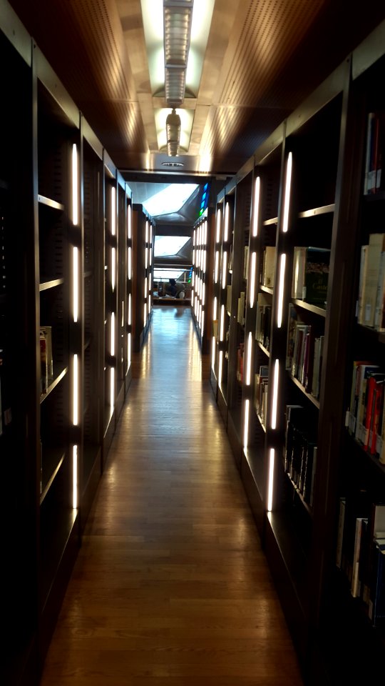مكتبة_الاسكندرية_3
