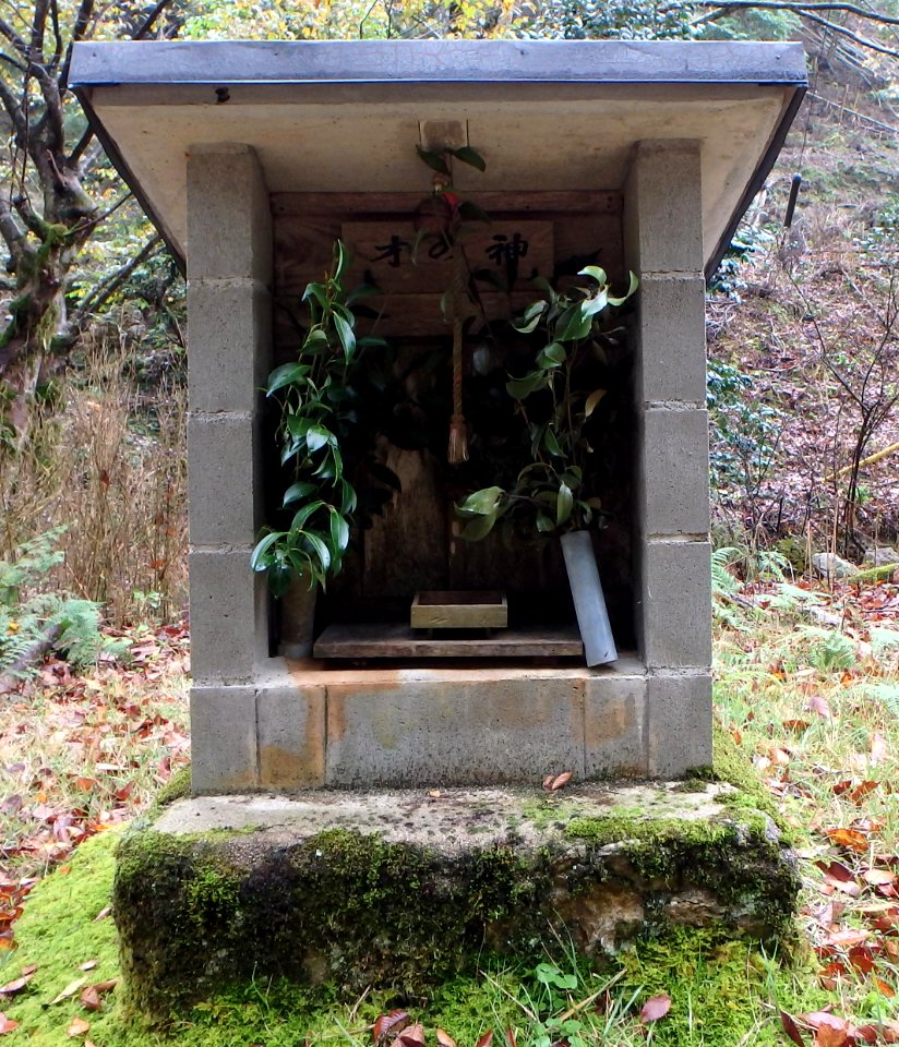 兵庫県豊岡市竹野町金原の才の神