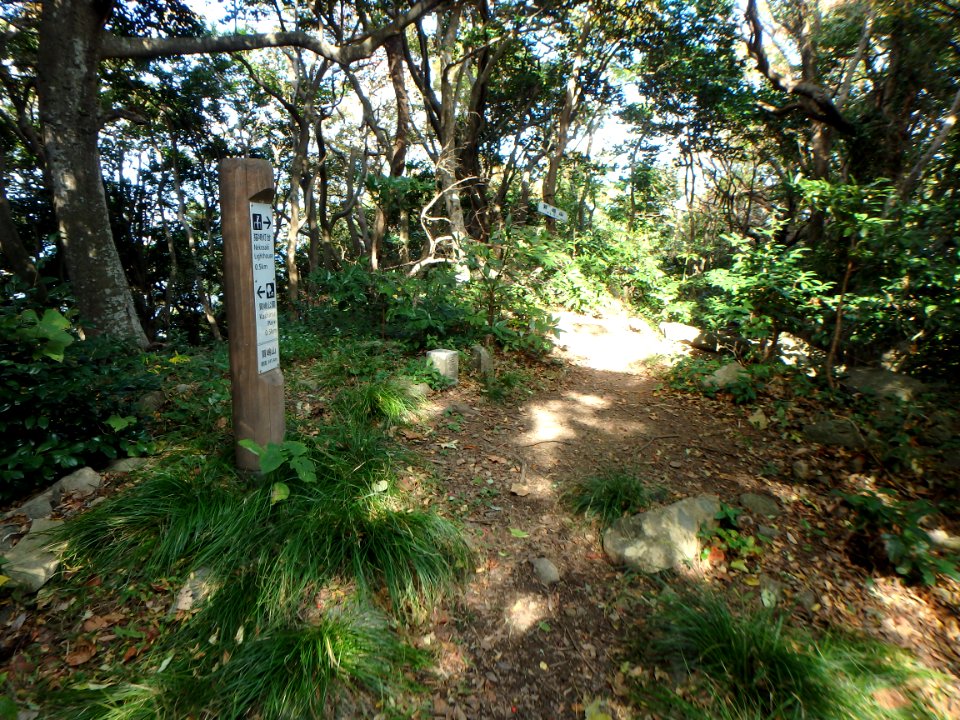 兵庫県豊岡市竹野町（猫崎半島）の賀嶋山