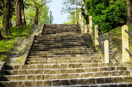 Stair nature trees