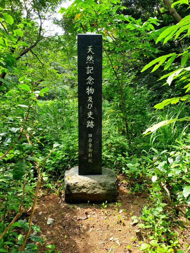 天然記念物及び史跡_旧白金御料地