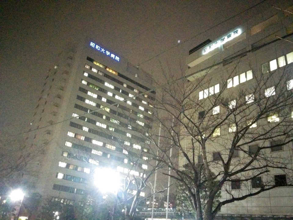 昭和大学病院_during_rainy_night