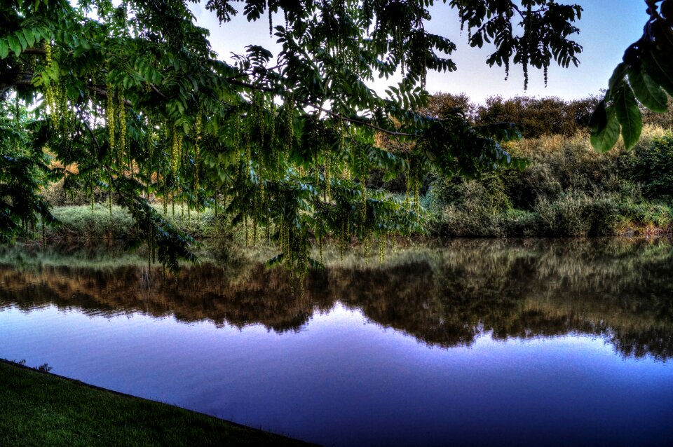 Pond quiet tranquil