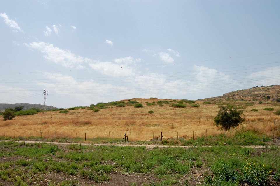 לקום4