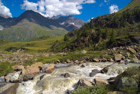 Torrent stream the stones