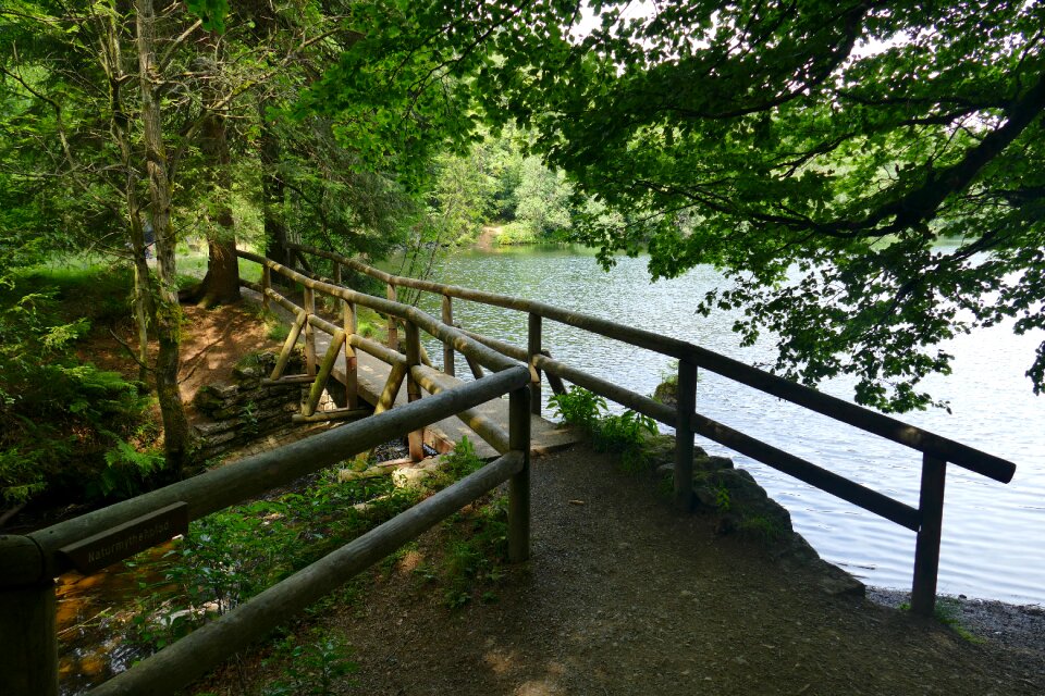 Pond bridge wooden bridge
