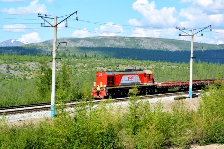 ТЭМ2УМ-785,_Россия,_Забайкальский_край,_перегон_Олонгдо_-_Мурурин_(Trainpix_172125)