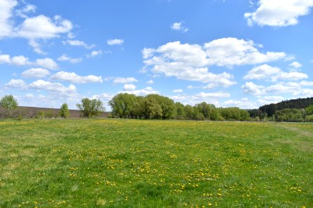 Цибулівка_08