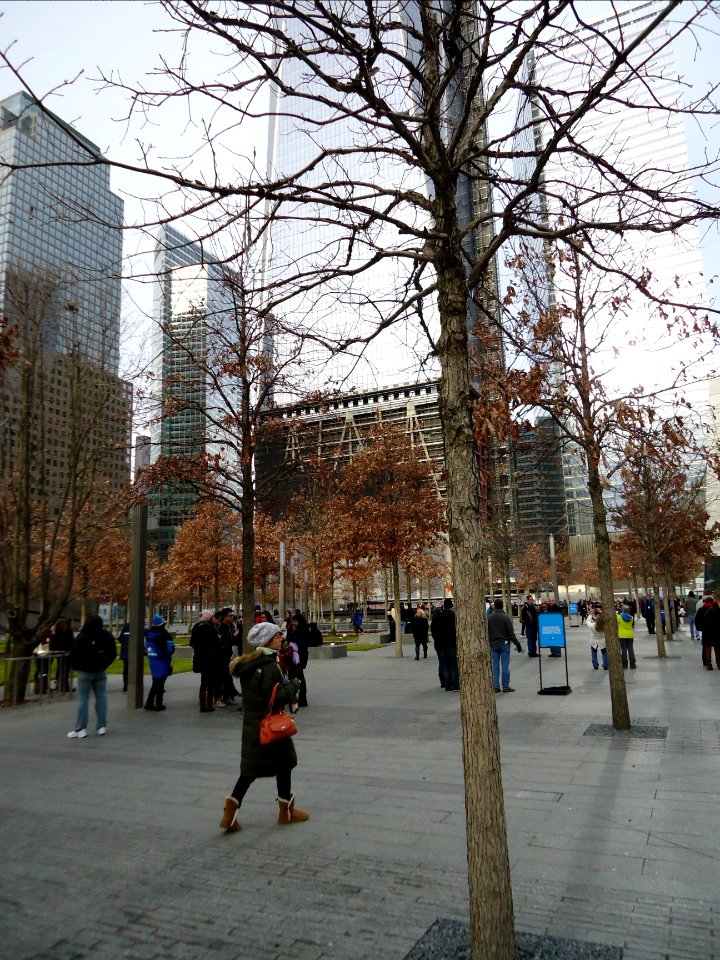 911_Memorial_plaza_in_New_York_City_December_2012