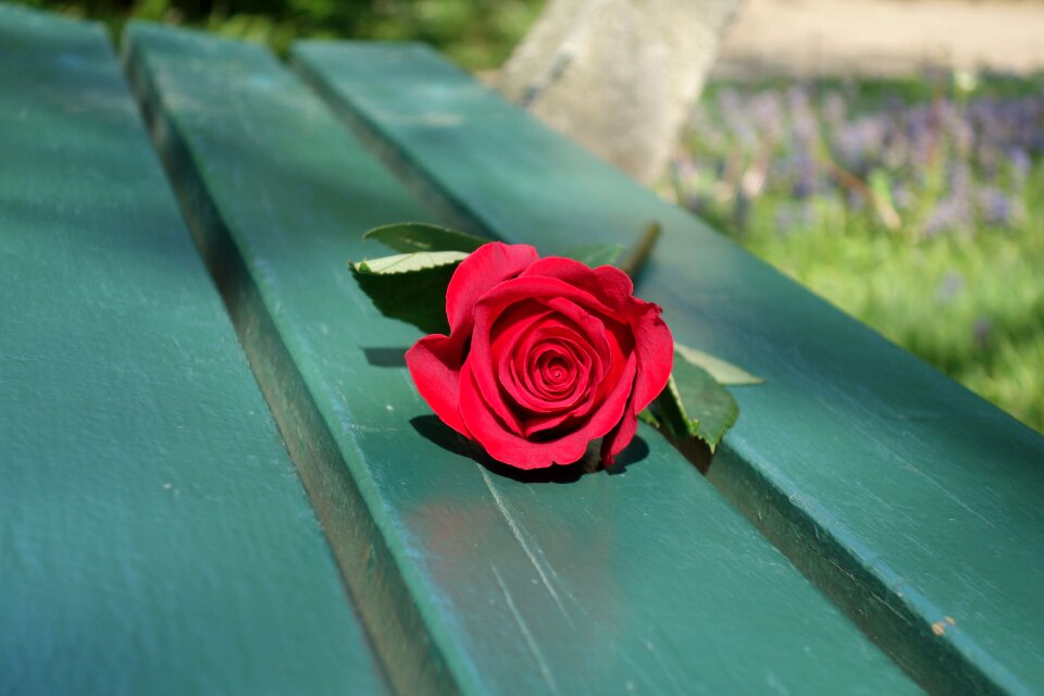 Romance waiting for someone emotion