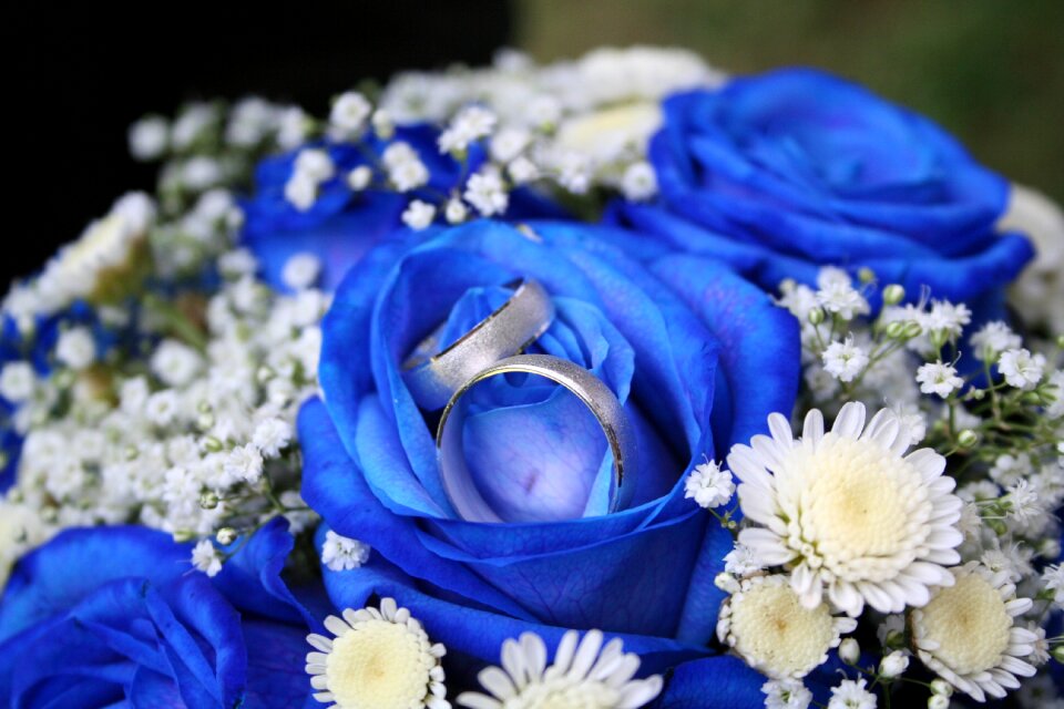 Roses rings liabilities