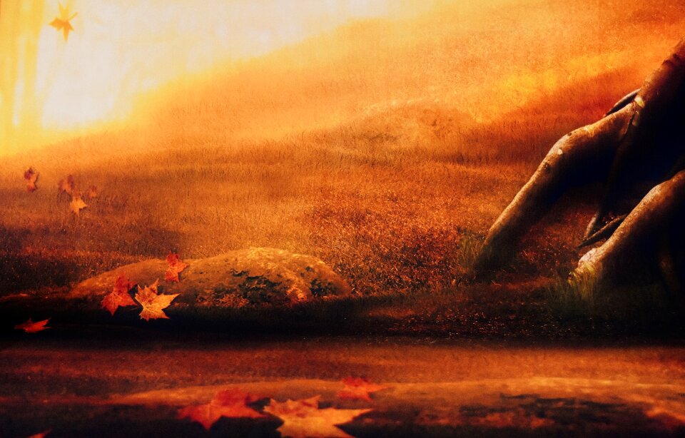 Nature background landscape
