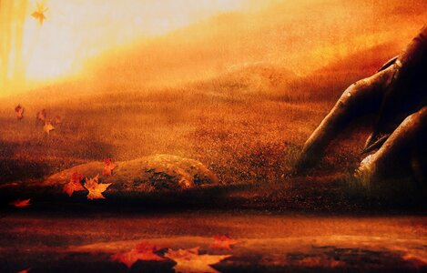 Nature background landscape