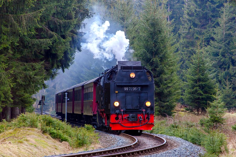 99_7235-7,_Germany,_Saxony-Anhalt,_Benneckenstein_-_Elend_stretch_(Trainpix_152051)