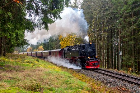 99_7239-9,_Germany,_Saxony-Anhalt,_Elend_-_Benneckenstein_stretch_(Trainpix_216812)