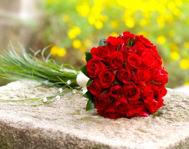 Roses red wedding