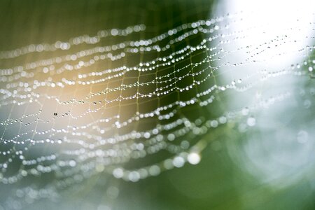 Rain blur net