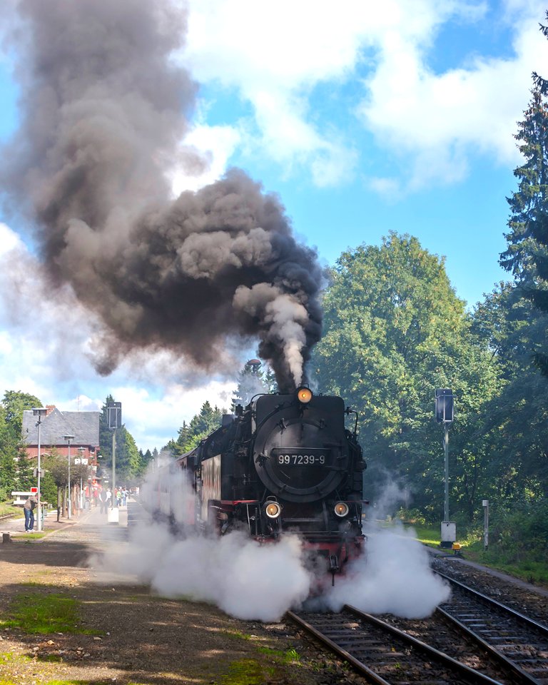 99_7239-9,_Germany,_Saxony-Anhalt,_Drei_Annen_Hohne_Railway_station_(Trainpix_141514)