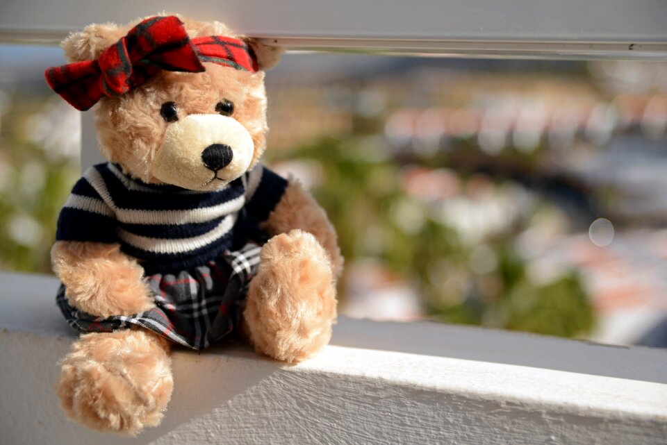 Cuddly the mascot sitting