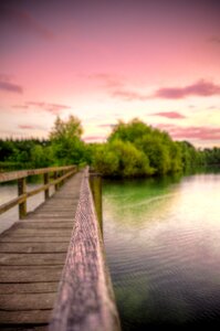 Lake nature trees photo