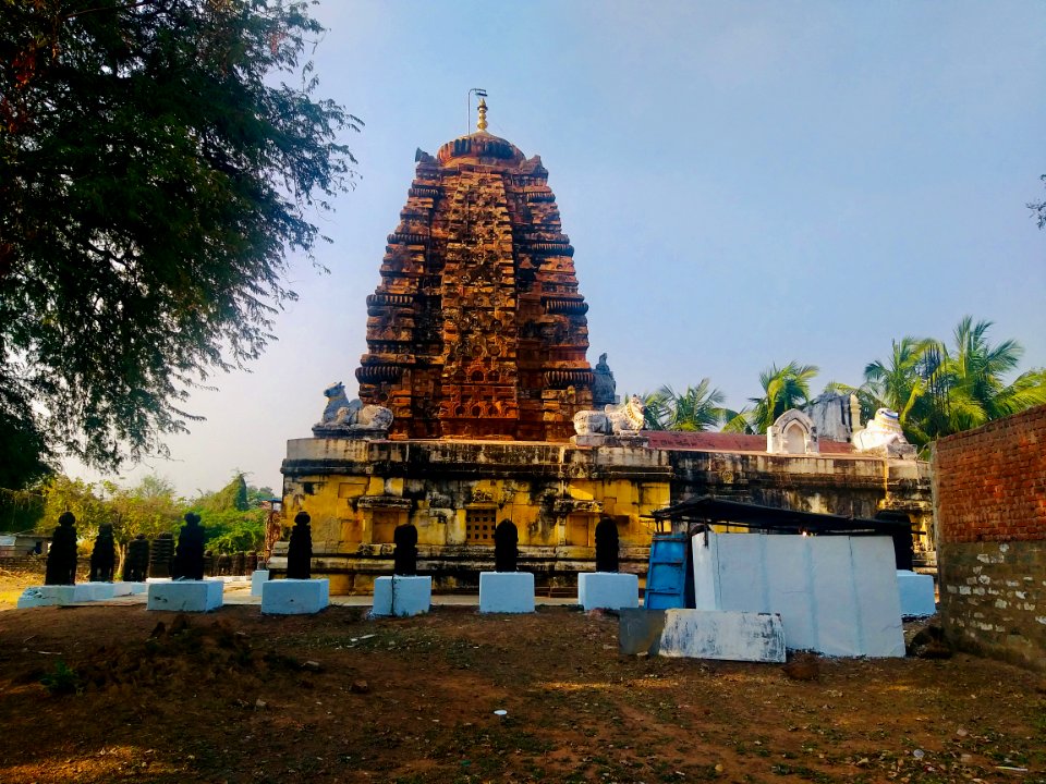 7th_century_Sivanandisvara_temple,_Kadamala_kalva,_Andhra_Pradesh_India_-_10