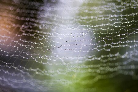 Rain blur net
