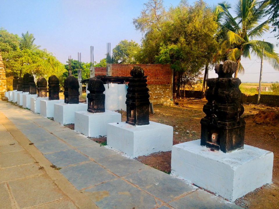 7th_century_Sivanandisvara_temple,_Kadamala_kalva,_Andhra_Pradesh_India_-_06